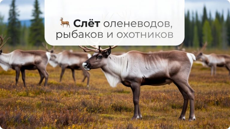🦌🎣 В Югре пройдет яркий Слет оленеводов, рыбаков и охотников!